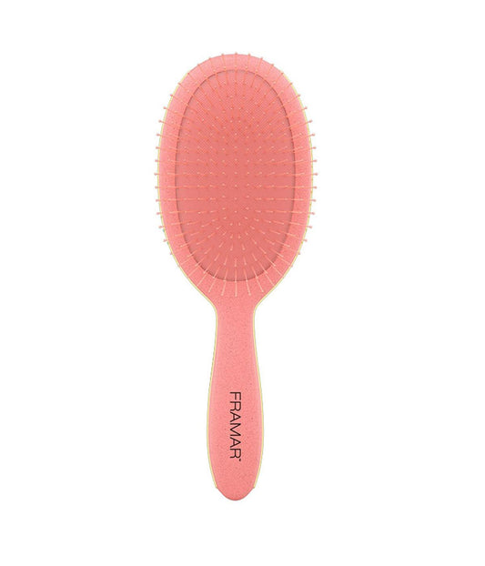 Fram Baecation Detangle Brush - Coral MJ24